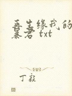 再生缘我的温柔暴君 txt
