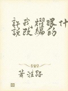 许我耀眼什么小说改编的