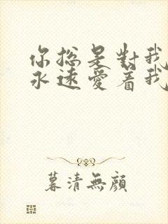 你总是对我说你永远爱着我什么歌