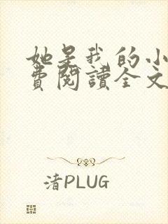 她是我的小说免费阅读全文