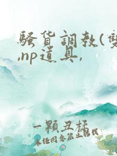 骚货调教(双性,np道具,