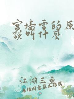 宫墙雪的原著小说叫什么
