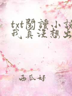 txt阅读小说我真没想出名啊