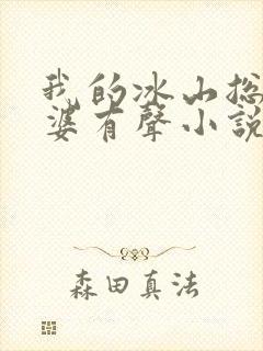 我的冰山总裁老婆有声小说