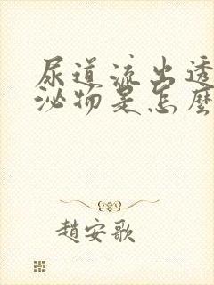 尿道流出透明分泌物是怎么回事