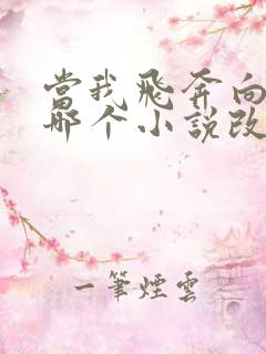 当我飞奔向你是哪个小说改编的