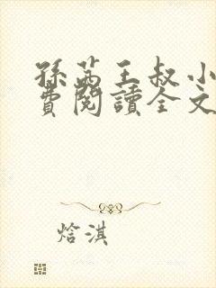 孙茜王叔小说免费阅读全文最新章节