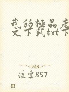 我的极品老婆全文下载txt下载