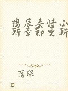 杨辰秦惜小说最新章节更新