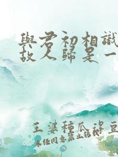 与君初相识恰似故人归是一部吗