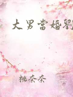 大男当婚刘晨曦