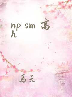 np sm 高h