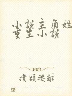 小说主角姓洛的重生小说