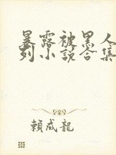 暴露被黑人强系列小说合集