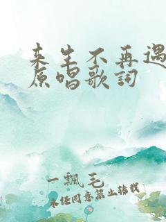 来生不再遇见你原唱歌词