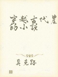 穿越古代农家女的小说