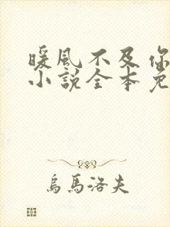 暖风不及你情深小说全本免费阅读