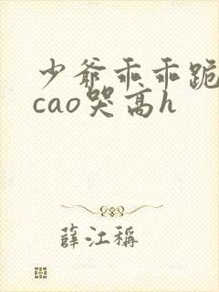 少爷乖乖跪趴被cao哭高h