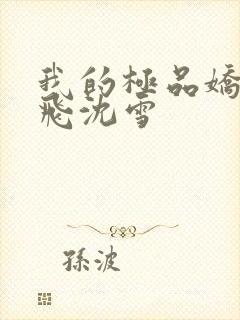 我的极品娇妻邓飞沈雪