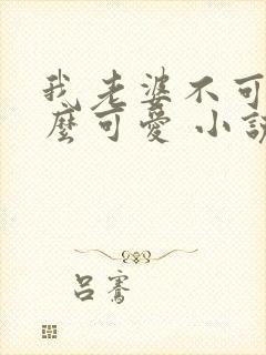 我老婆不可能这么可爱 小说
