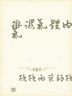 排湿气体内去湿气