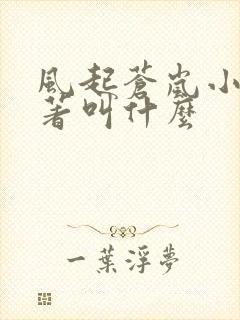 风起苍岚小说原著叫什么