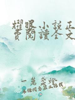 耀眼小说正版免费阅读全文
