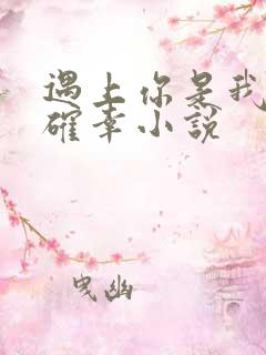 遇上你是我的小确幸小说