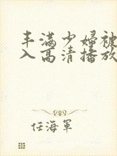 丰满少妇被猛进入高清播放