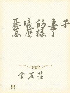 聂曦的妻子后来怎么样了