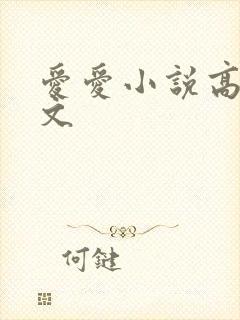爱爱小说高嗨辣文