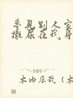 梦见别人家小孩撒尿在我身上