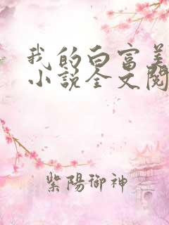 我的白富美老婆小说全文阅读