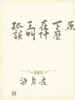 孤王在下原著小说叫什么