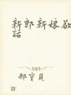 新郎新娘敬酒回话