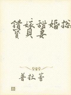 错嫁甜婚总裁的宝贝妻