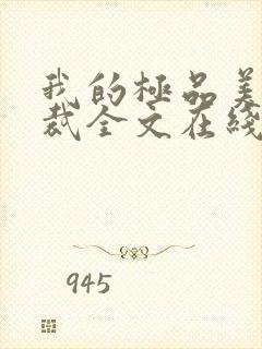 我的极品美女总裁全文在线阅读