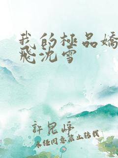 我的极品娇妻邓飞沈雪