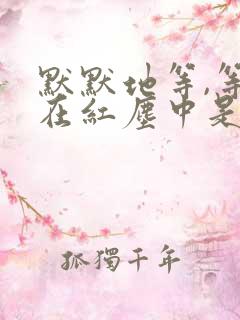 默默地等,等你在红尘中是什么歌