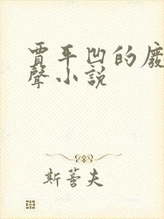 贾平凹的废都有声小说