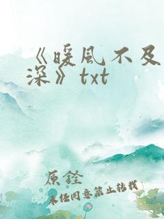 《暖风不及你情深》txt