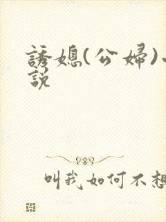 诱媳(公妇)小说