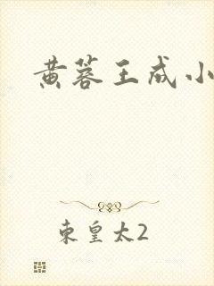 黄蓉王成小说