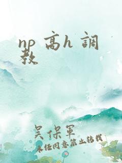 np 高h 调教