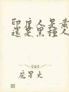 印度人是黄种人还是黑种人