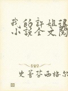 我的许姐很温柔小说全文阅读