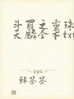 斗罗之灵珠神剑天麟全本txt免费下载