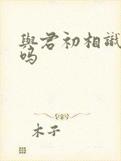 与君初相识很虐吗