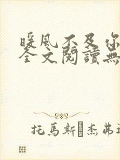 暖风不及你情深全文阅读无删减