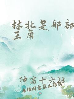 林北是哪部小说主角